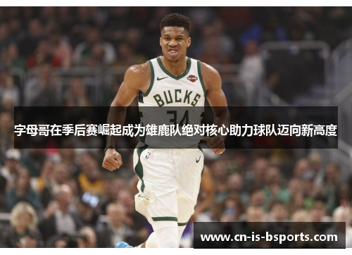 字母哥在季后赛崛起成为雄鹿队绝对核心助力球队迈向新高度
