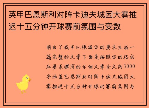 英甲巴恩斯利对阵卡迪夫城因大雾推迟十五分钟开球赛前氛围与变数